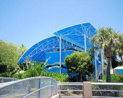 Custom Canopy - Miami Seaquarium Penguin Isle - Miami, FL miami-seaquarium-penguin-isle-canopy-miami-awning