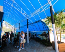 Custom Canopy - Miami Seaquarium Penguin Isle - Miami, FL miami-seaquarium-penguin-isle-canopy