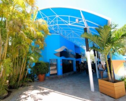 Custom Canopy - Miami Seaquarium Penguin Isle - Miami, FL miami-seaquarium-penguin-isle-canopy