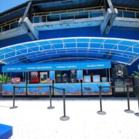 Custom Refeshment Canopy - Miami Seaquarium - Miami, FL miami-seaquarium-refreshment-canopy