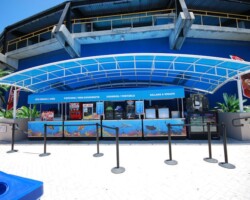 Custom Refeshment Canopy - Miami Seaquarium - Miami, FL miami-seaquarium-refreshment-canopy
