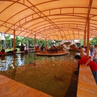 Touch Tank Custom Canopy - Miami Seaquarium - Miami, FL touch-tank-custom-canpoy-miami-awning-2